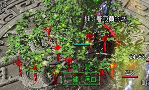 新开传奇SF跟了五十组号才醒悟：开服前那五分钟，比爆率更能看出服的寿命